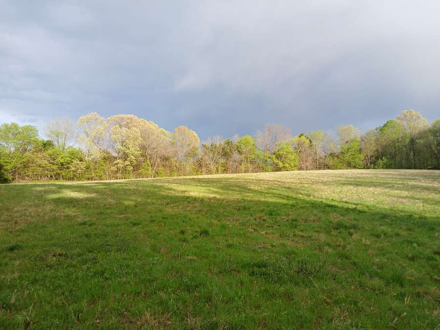 2998 N. CENTRAL AVE, HUMBOLDT | GIBSON COUNTY TN 49.48 - AVAILABLE