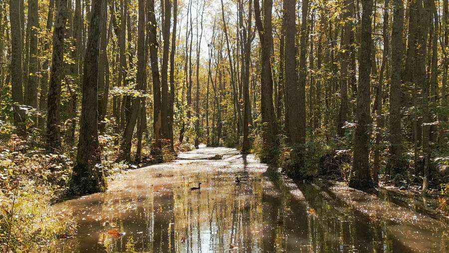 0 HWY 412 E., JACKSON | MADISON COUNTY TN 154.3 - AVAILABLE